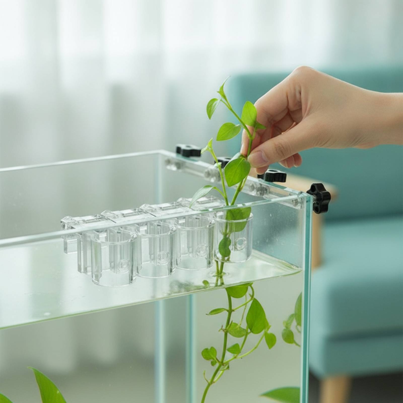 Aquarium Planting - Набор из 6 прозрачных гидропонных держателей