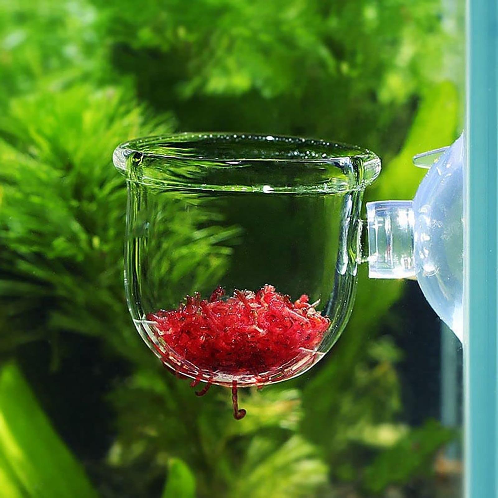 Aquarium Plant Seeds - Горшок для аквариумных растений, стеклянный цилиндр,