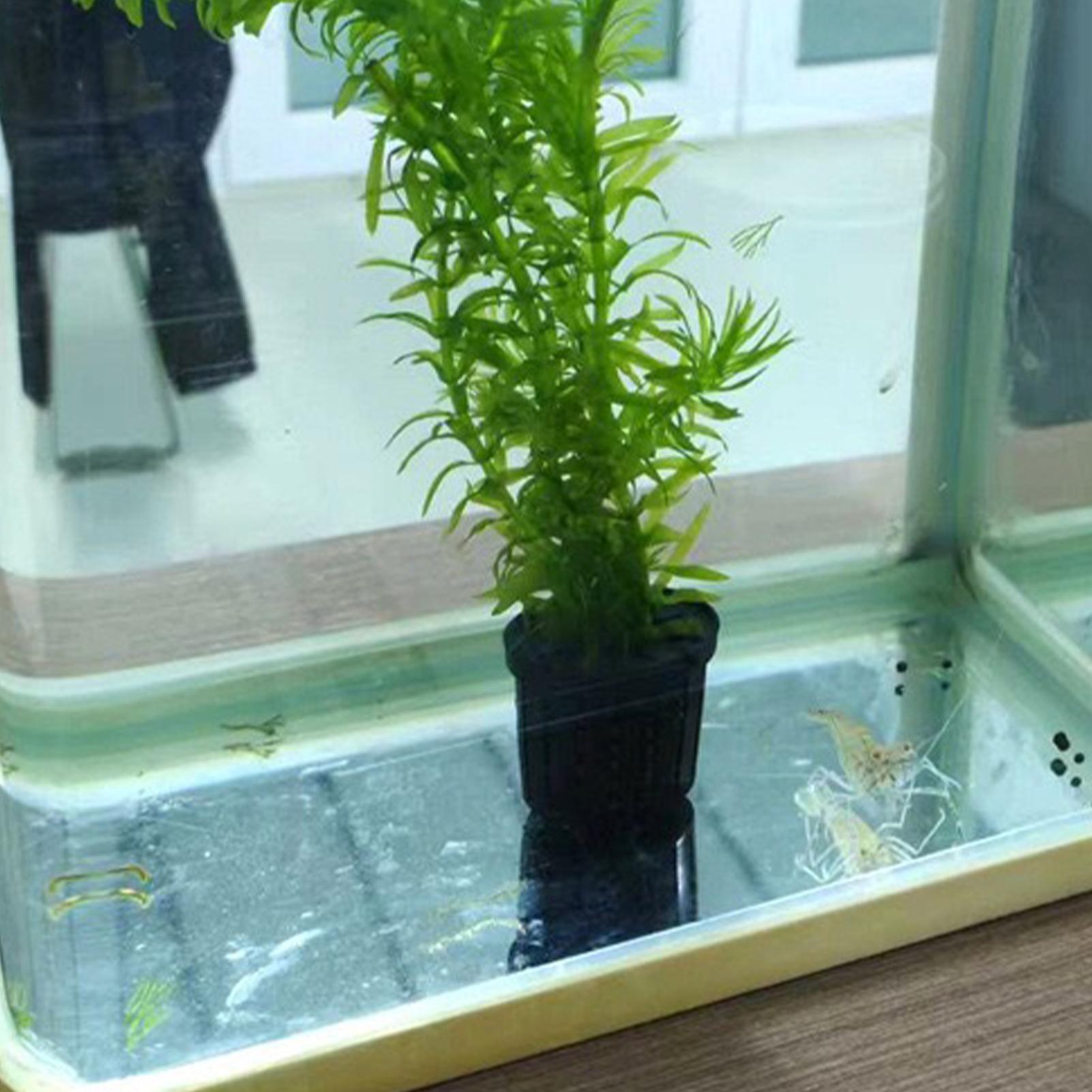 Aquarium Planted Background - Набор из 4 гидропонных корзин для