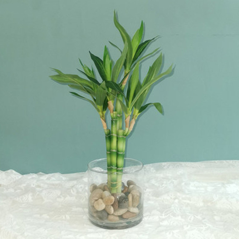 Aquarium Planted Tank - Новый 40 см искусственный счастливый бамбуковый