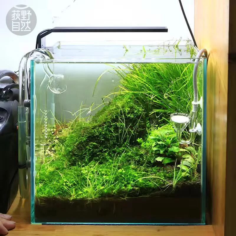 Planted Aquarium Mini - Chihiros C серии ADA стиль для