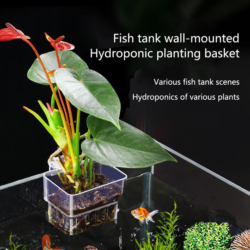 Aquarium Planted Setup - Корзины для гидропоники в аквариуме, 2,