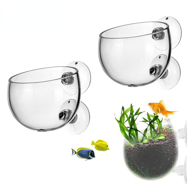 Aquarium Plant Seeds - Новый горшок для аквариумных растений, стеклянный