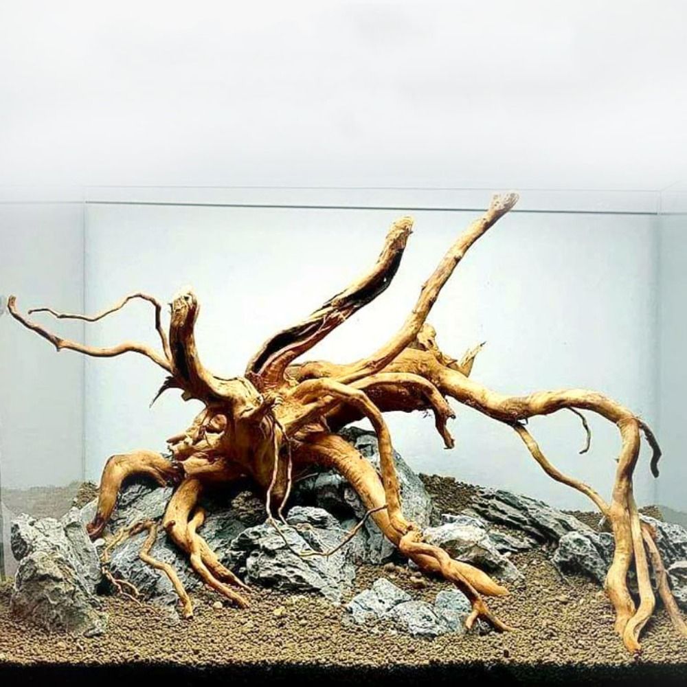 Aquarium Planted Wood - Натуральный ствол дерева, аквариумное украшение, деревянное