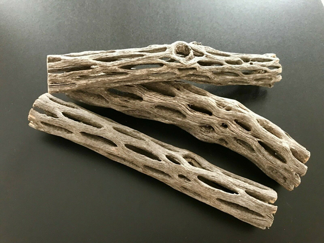 Aquarium Planted Seeds - Органическое/натуральное аквариумное гнездо из древесины кактуса,