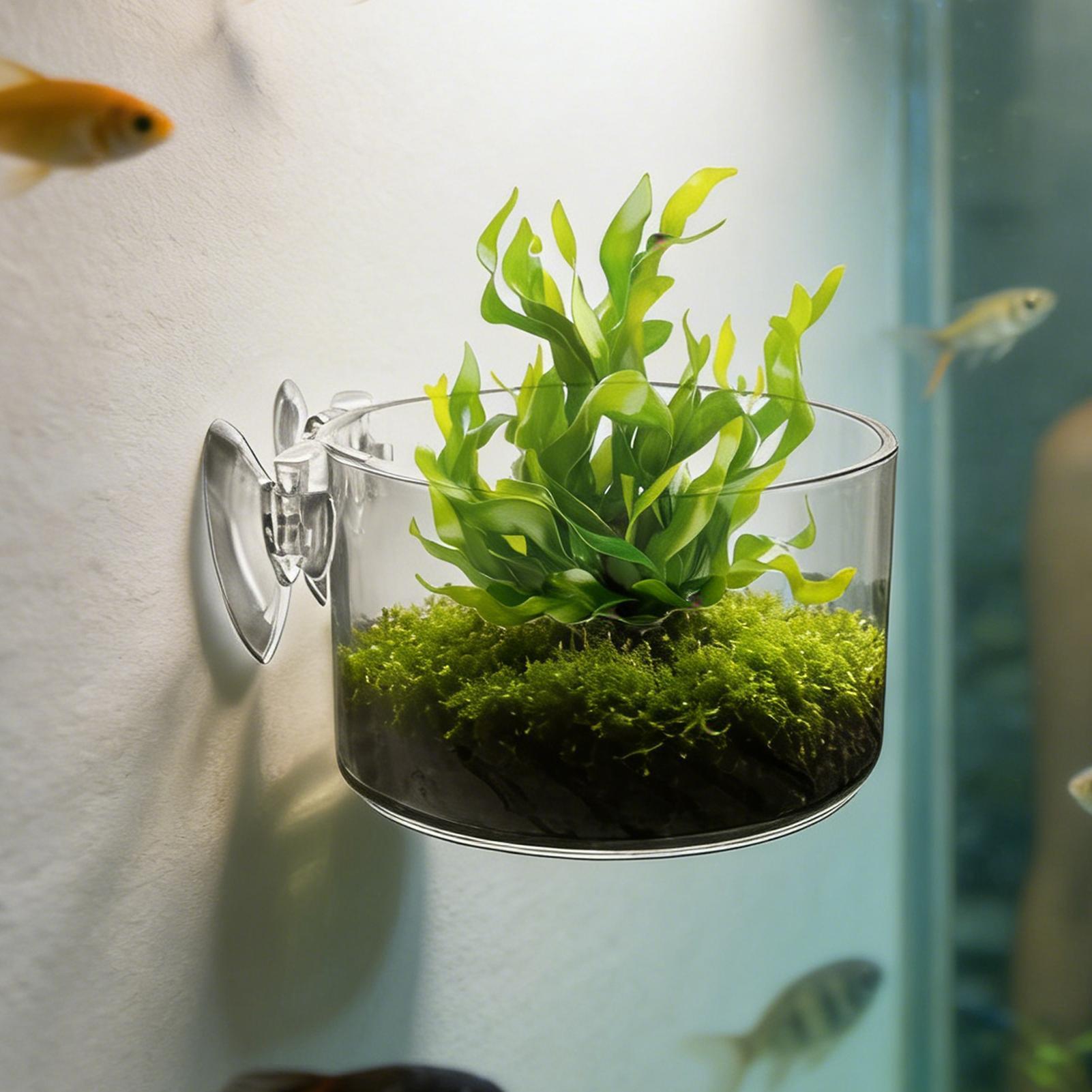 Aquarium Planted Background - Держатель для аквариумных растений, акриловая чашка