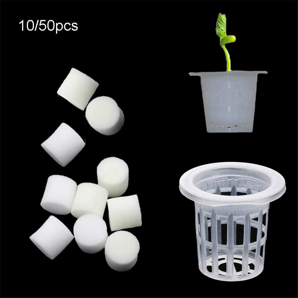 Aquarium Planted Seeds - 10/50 шт. прочные посадочные аквариумные беспочвенные