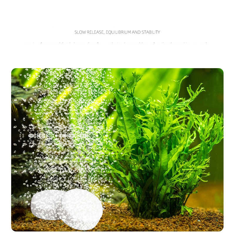 Аквариум для рыб ISTA, таблетк – обзор и цена Planted Aquarium Without Fish