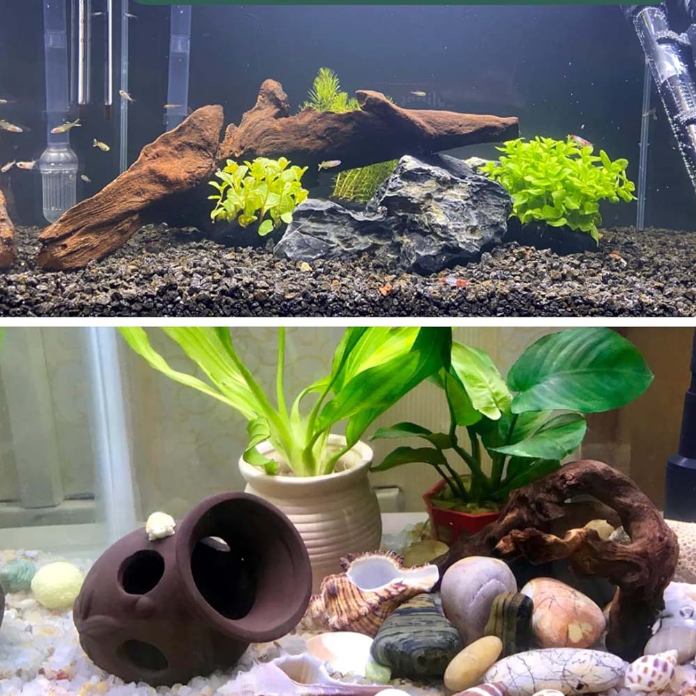 3шт ﻿ Набор из коряги естестве – обзор и цена Aquarium Planted Wood