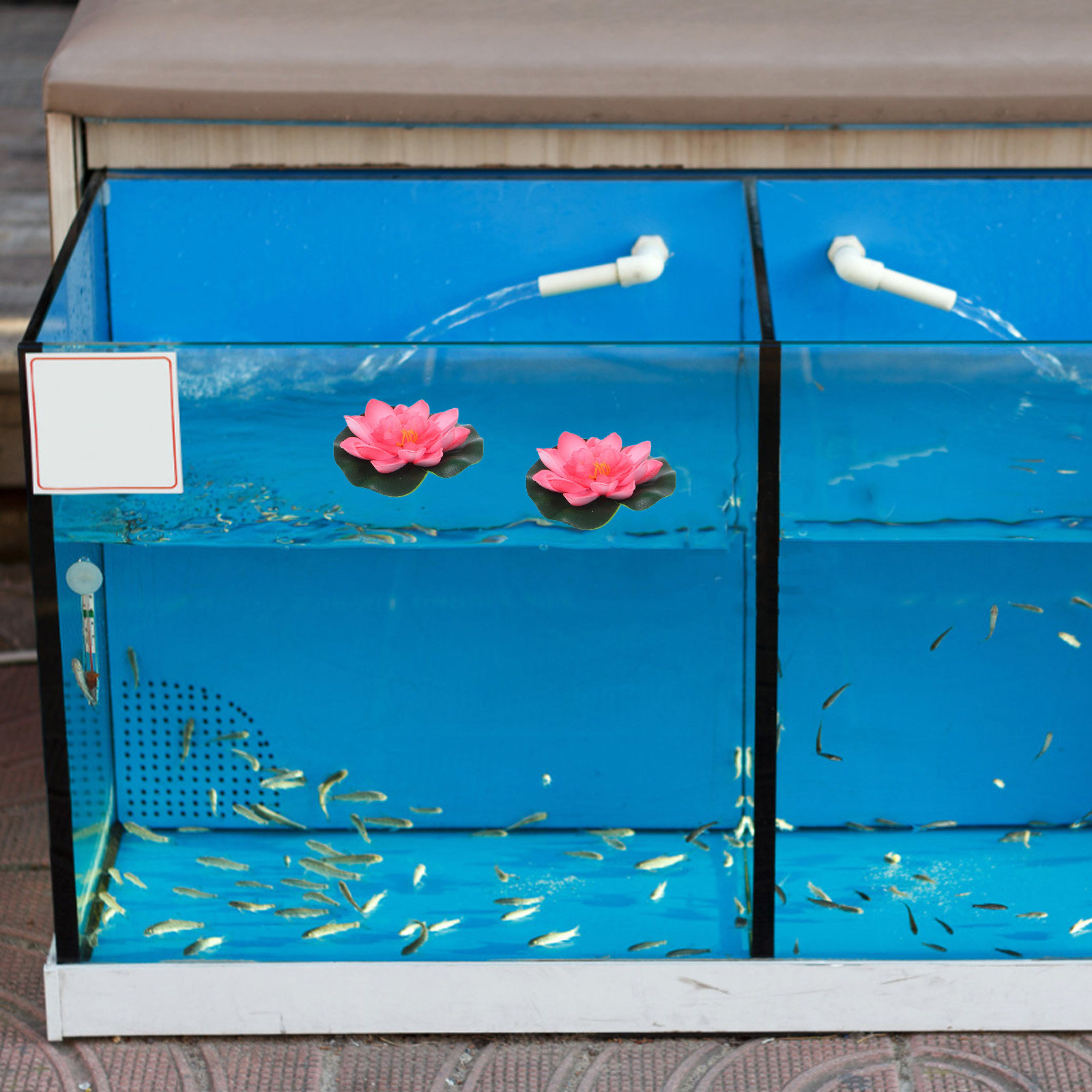 12 шт. искусственных плавающих – обзор и цена Aquarium Planting