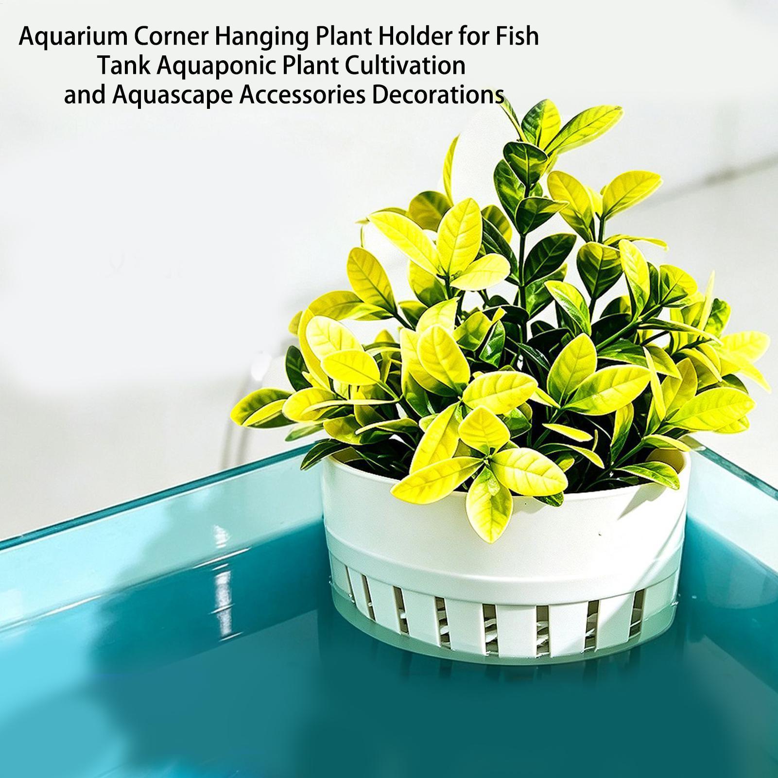 Корзина для аквариумных растен – обзор и цена Aquarium Planted Background