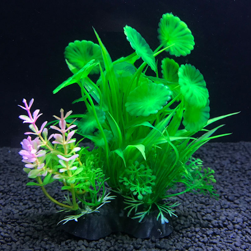 Украшение аквариума, различные – обзор и цена Aquarium Plant Varieties