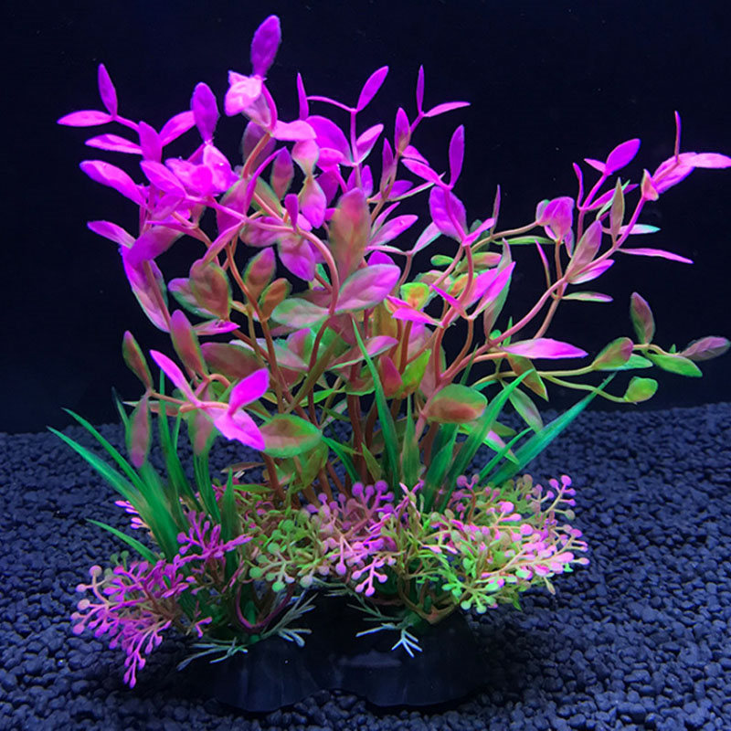 Украшение аквариума, различные – обзор и цена Aquarium Plant Varieties