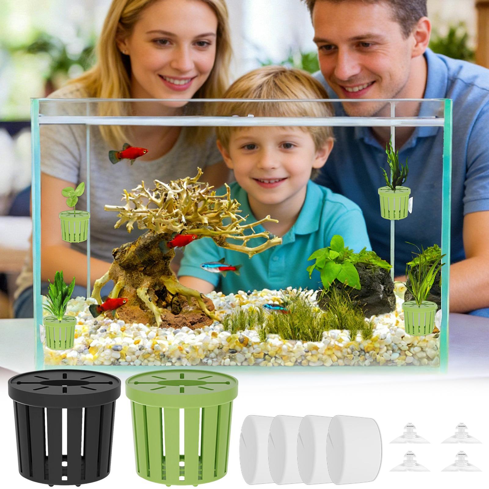 Набор из 4 гидропонных корзин  – обзор и цена Aquarium Planted Background