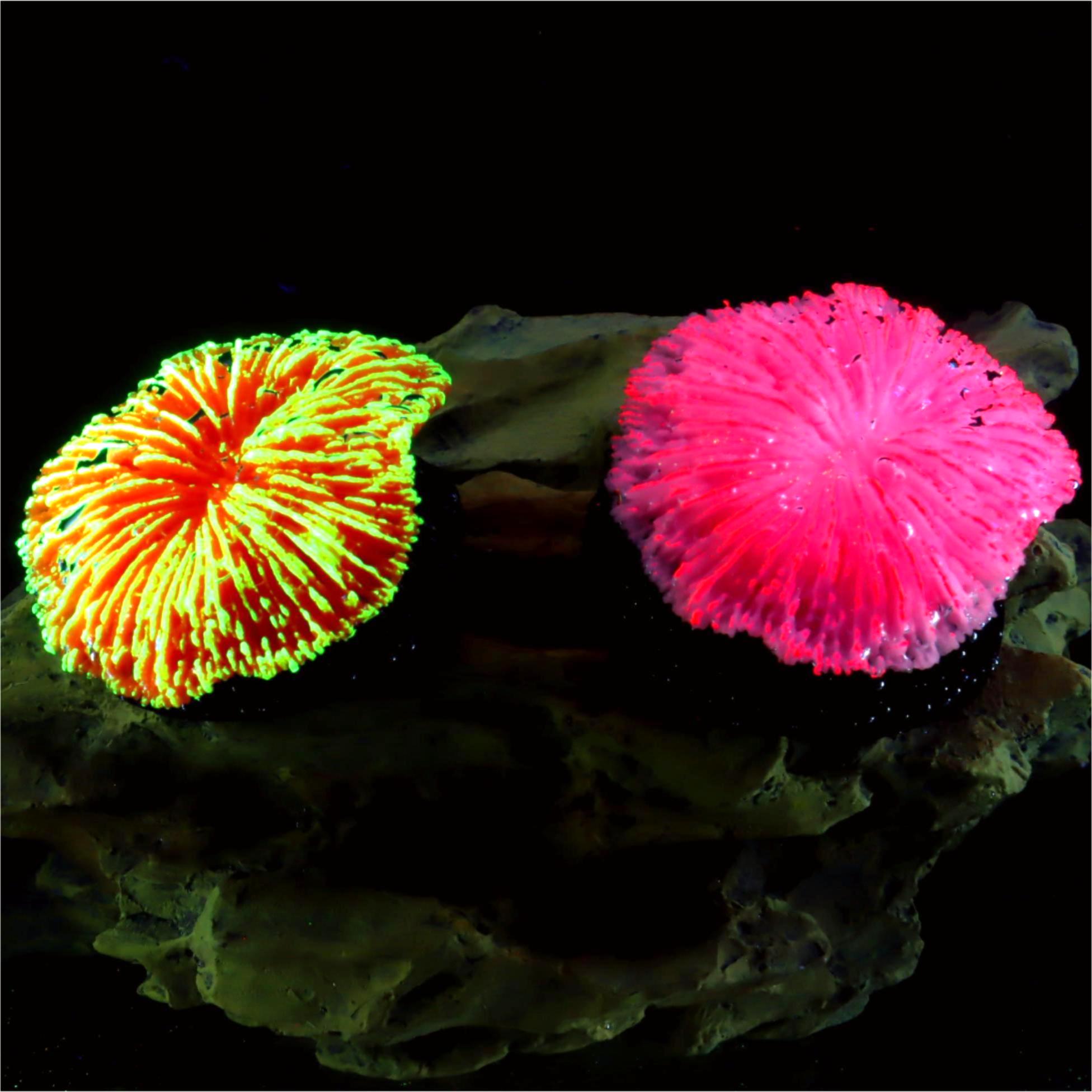 1 piece aquarium decoration sa – обзор и цена Aquarium Plant Live