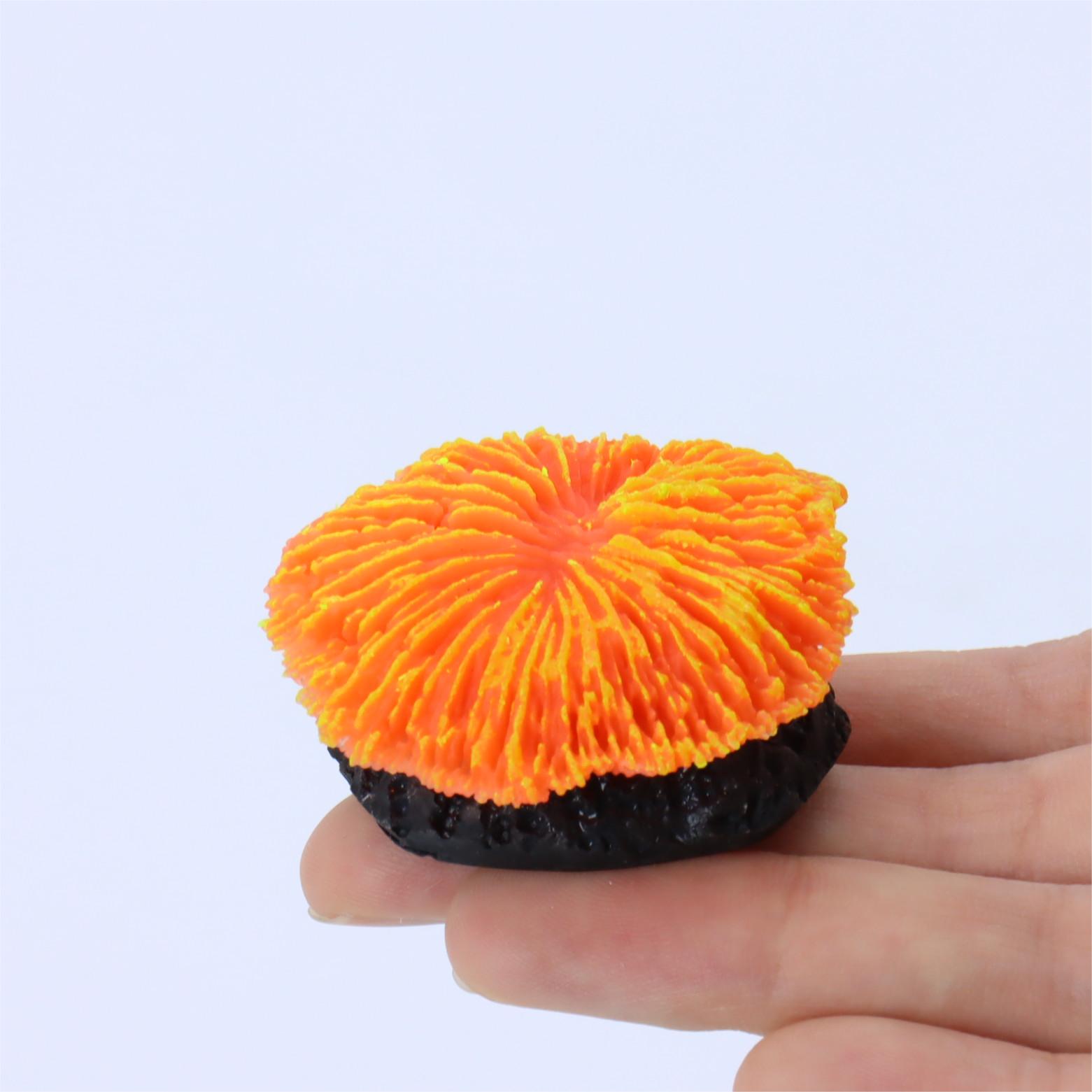 1 piece aquarium decoration sa – обзор и цена Aquarium Plant Live