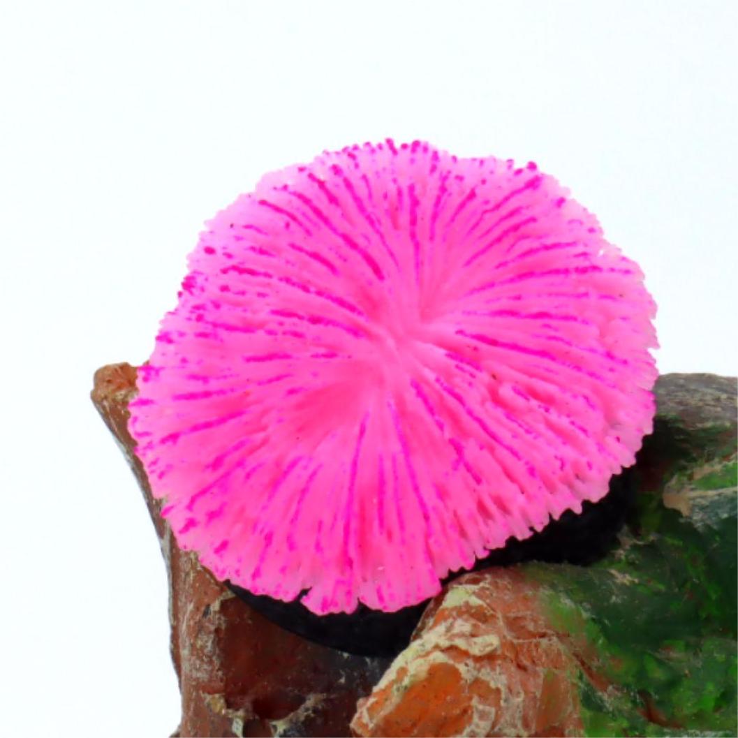 1 piece aquarium decoration sa – обзор и цена Aquarium Plant Live