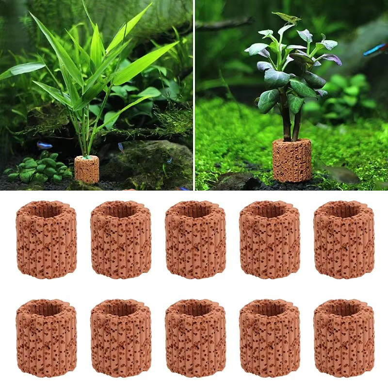 Фиксированное кольцо для водны – обзор и цена Aquarium Plant Live