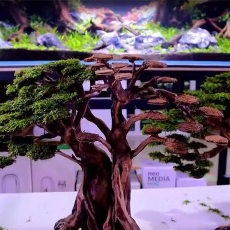 10 шт. натуральная Кокосовая р – обзор и цена Aquarium Planted Background