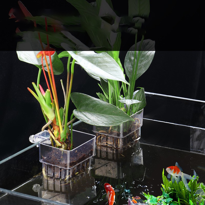 1 шт., корзина для аквариумных – обзор и цена Aquarium Plant Seeds
