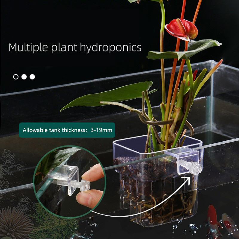 1 шт., корзина для аквариумных – обзор и цена Aquarium Plant Seeds