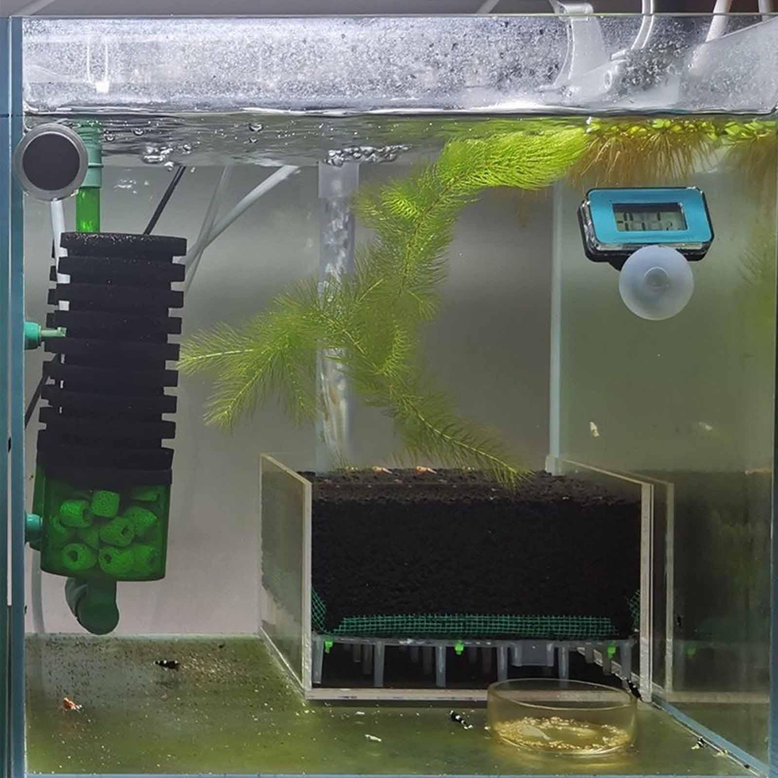 Прозрачный акриловый фильтр-бо – обзор и цена Planted Aquarium Undergravel Filter