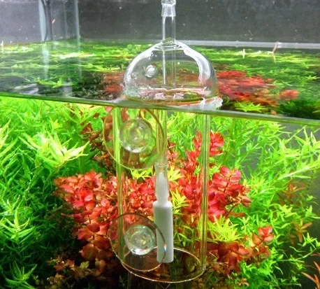 VIV Do устройство аквариумный  – обзор и цена Aquarium Plant Live