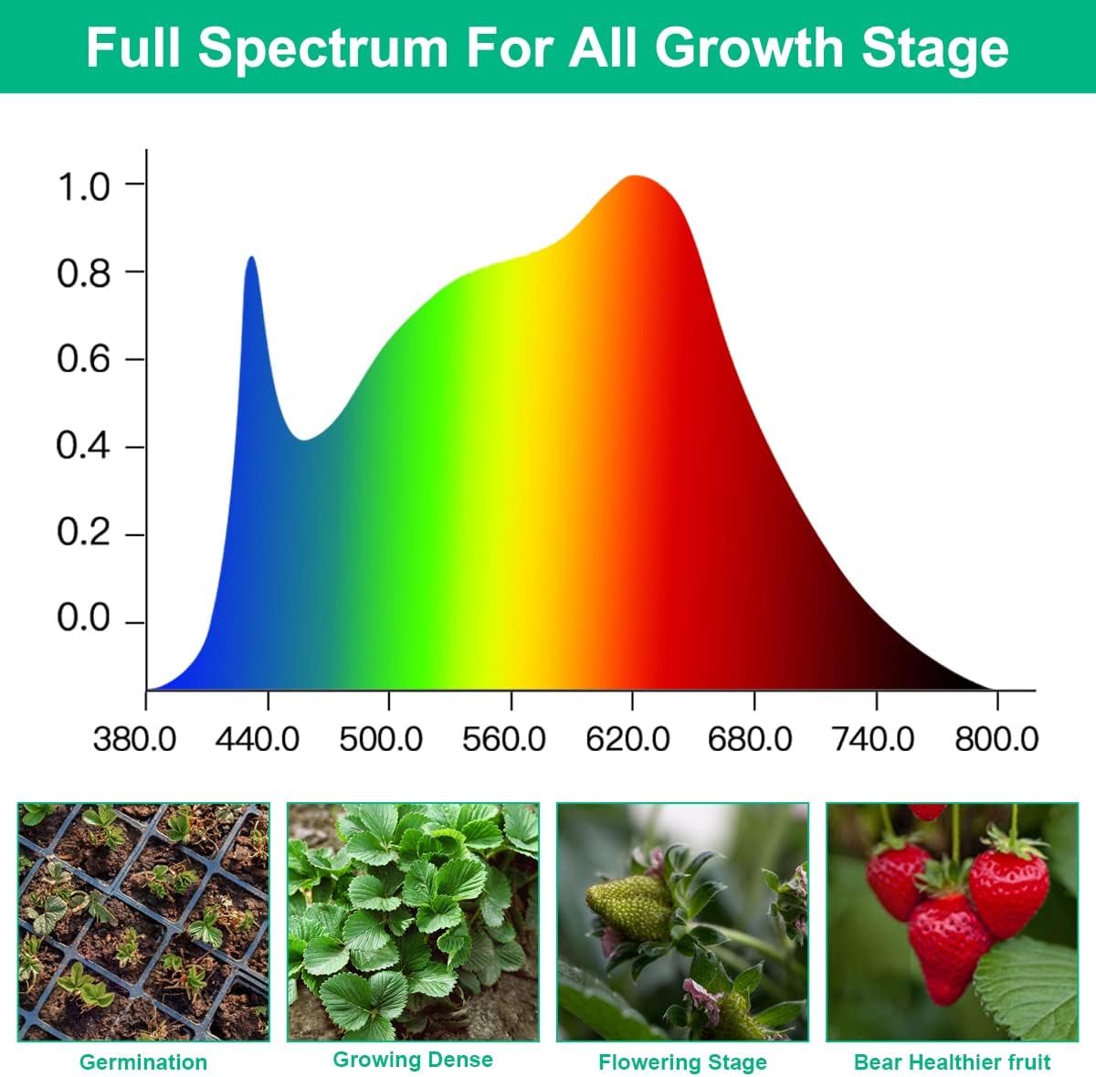 Светодиодные лампы для выращив – обзор и цена Aquarium Planted Seeds