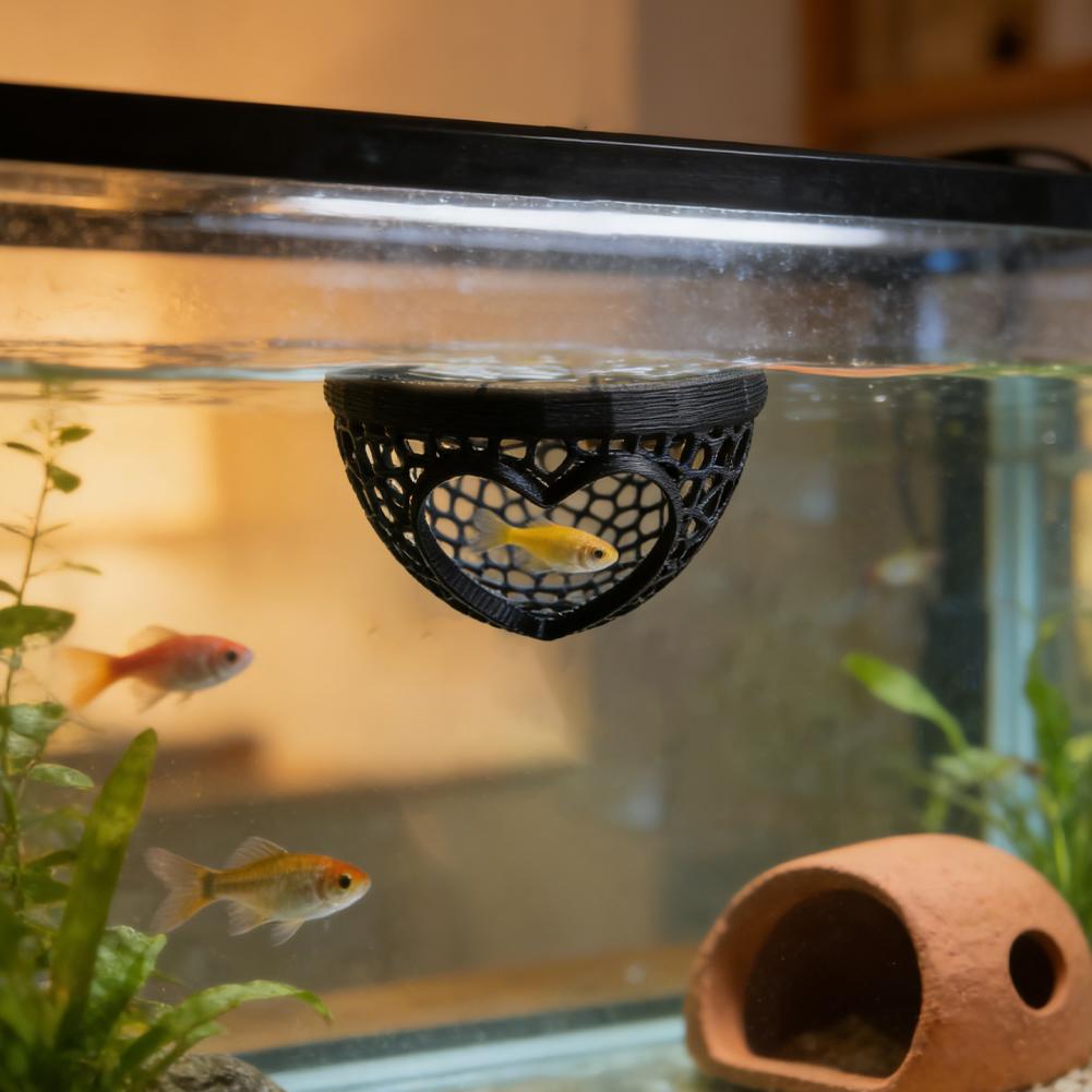 Убежище-пещера для аквариума в – обзор и цена Planted Aquarium Without Fish