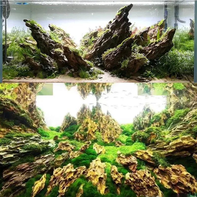 250 г 500 г 1000 г натуральный – обзор и цена Aquarium Planted Seeds
