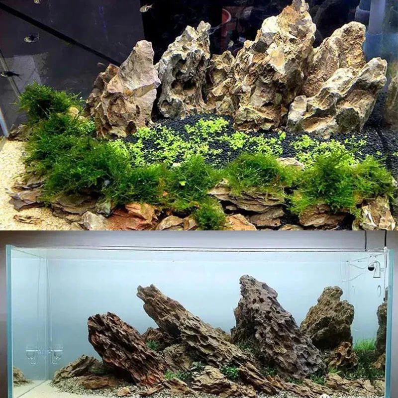 250 г 500 г 1000 г натуральный – обзор и цена Aquarium Planted Seeds