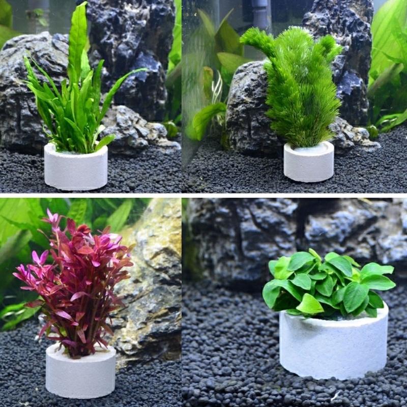 37ME 10 шт. набор фиксированны – обзор и цена Aquarium Planted Background