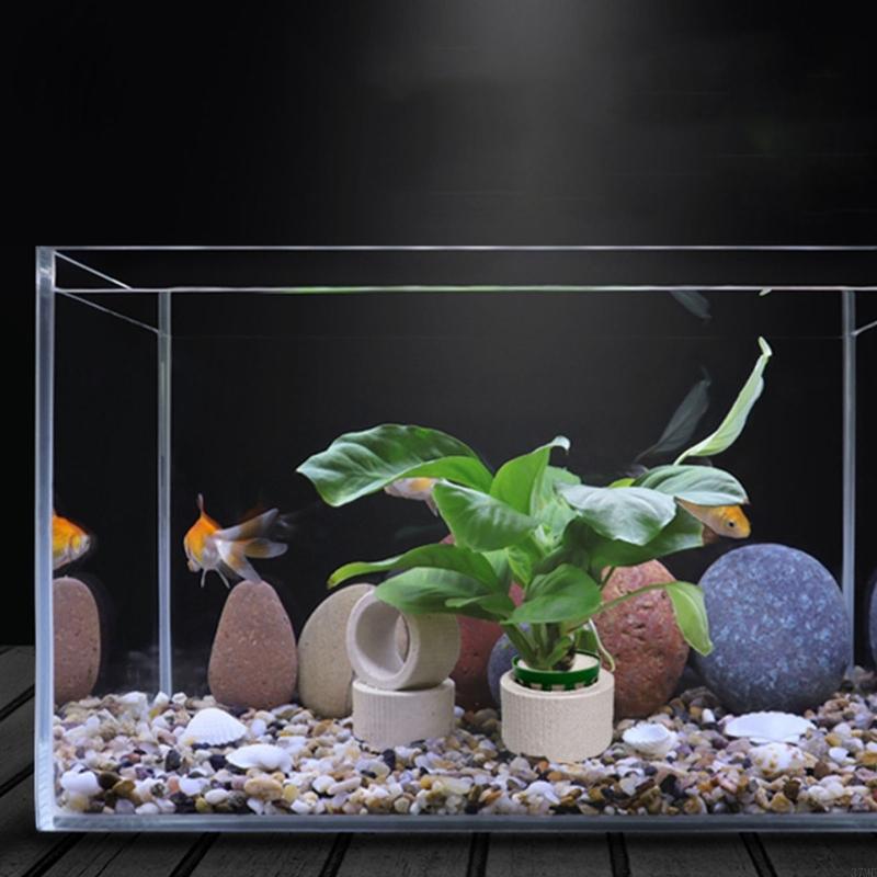 37ME 10 шт. набор фиксированны – обзор и цена Aquarium Planted Background