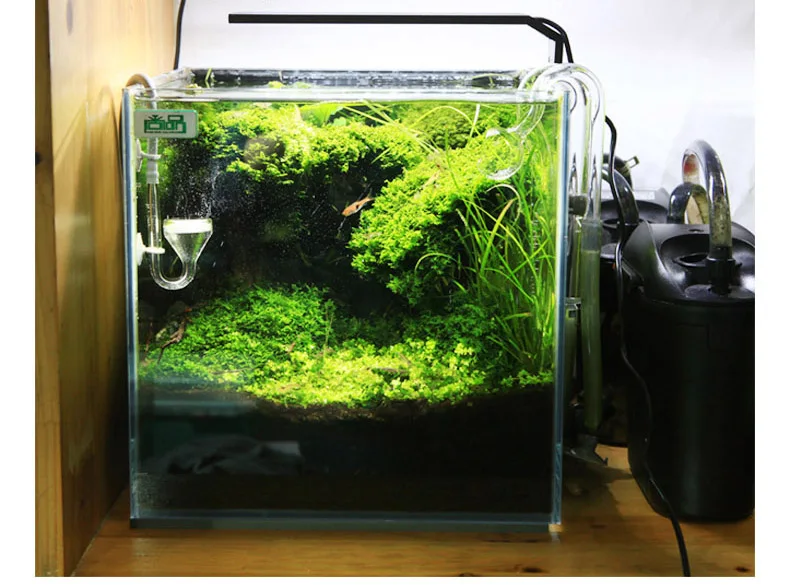 Chihiros C серии ADA стиль для – обзор и цена Planted Aquarium Mini