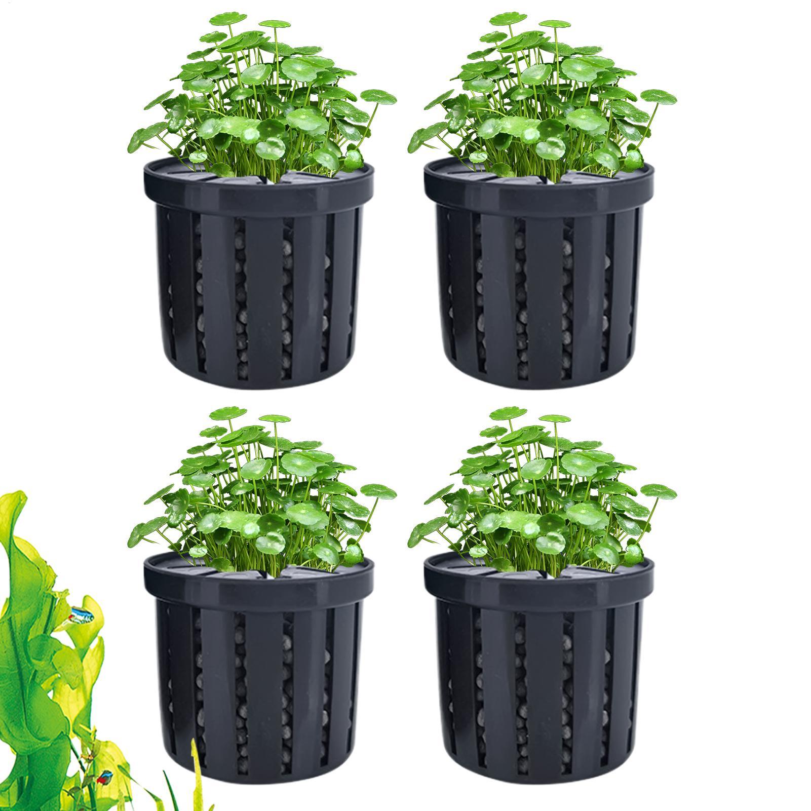 Набор из 4-х аквариумных горшк – обзор и цена Aquarium Plant Live