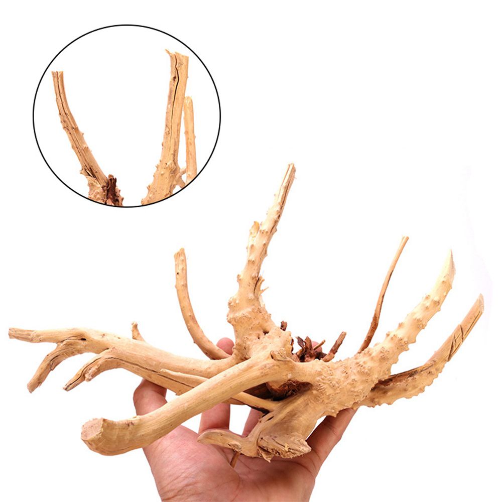 Дерево N1N, ландшафтный дизайн – обзор и цена Aquarium Planted Wood