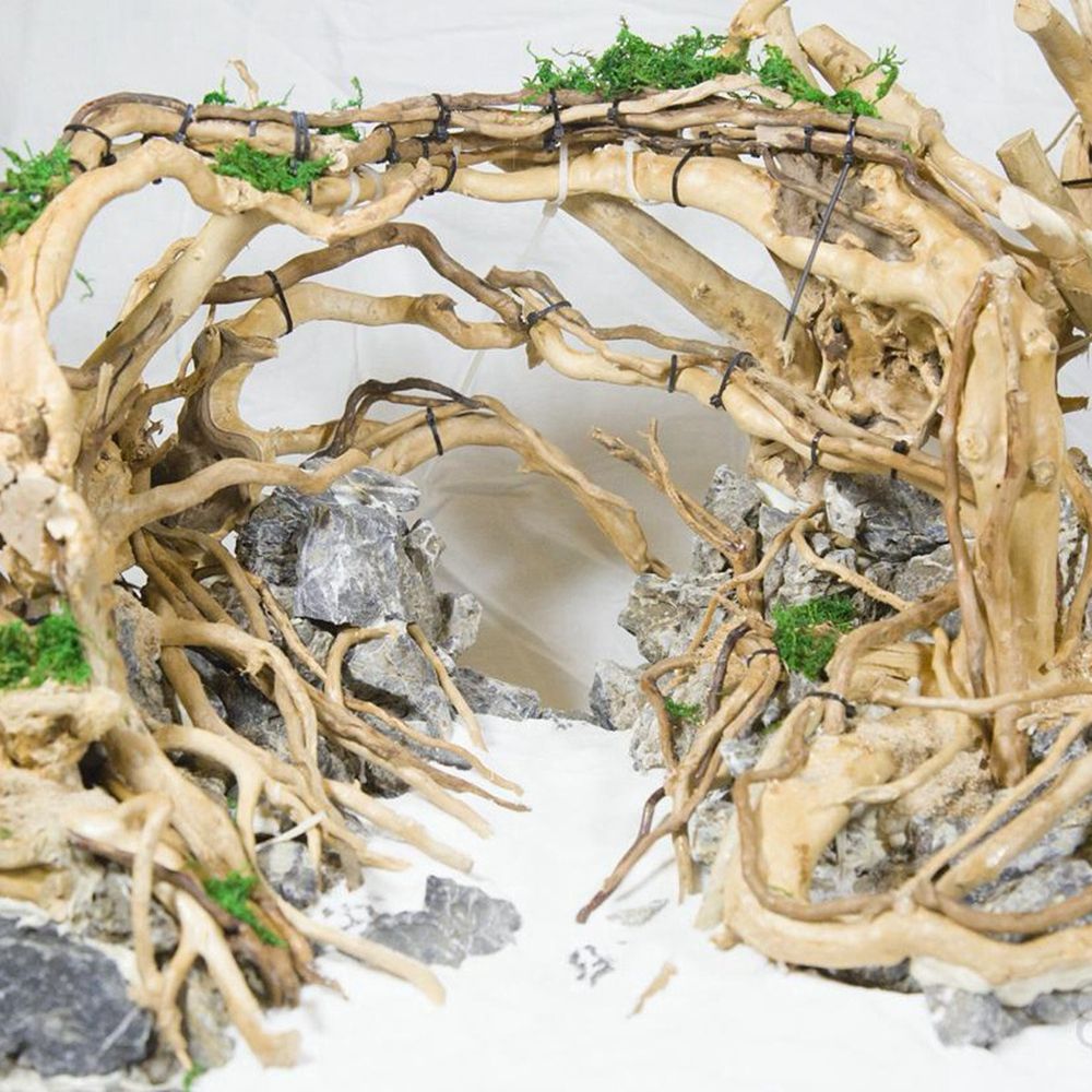 Дерево N1N, ландшафтный дизайн – обзор и цена Aquarium Planted Wood
