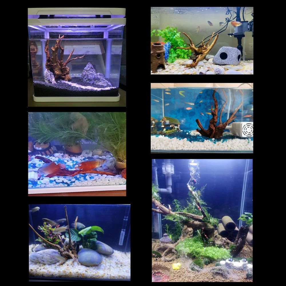 Натуральный ствол дерева, аква – обзор и цена Aquarium Planted Wood