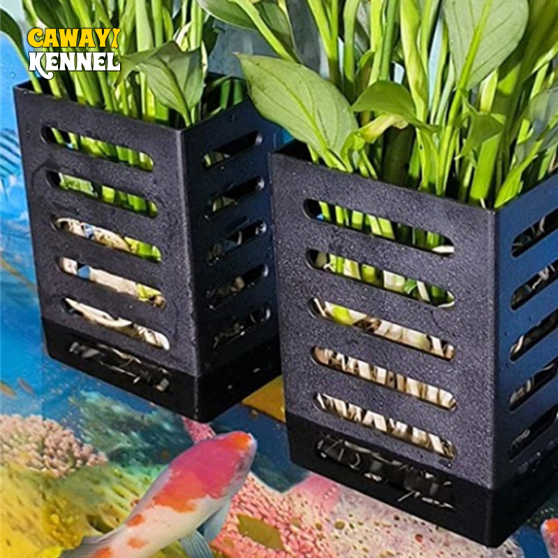 Украшения для аквариума для до – обзор и цена Aquarium Plant Live