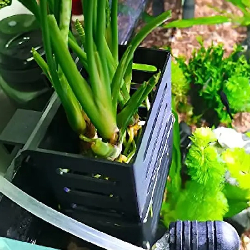 Украшения для аквариума для до – обзор и цена Aquarium Plant Live