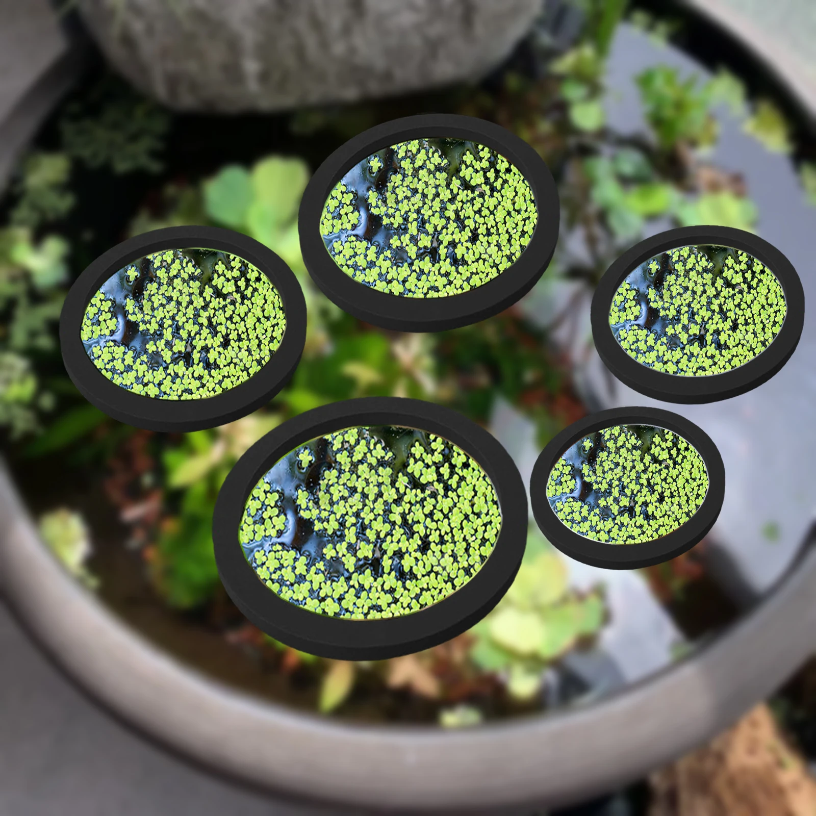 5 шт., кольцо для кормления ры – обзор и цена Aquarium Planting