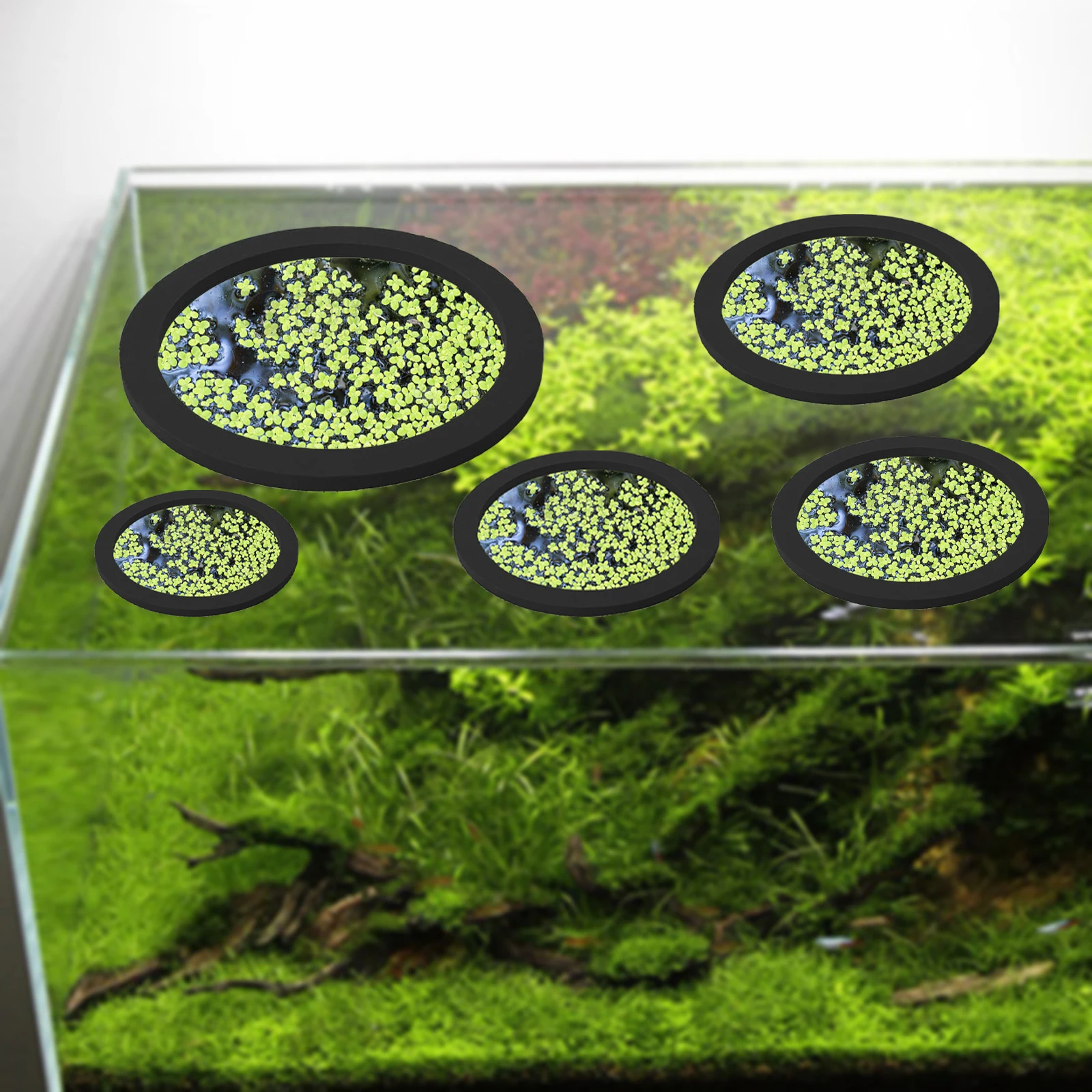 5 шт., кольцо для кормления ры – обзор и цена Aquarium Planting