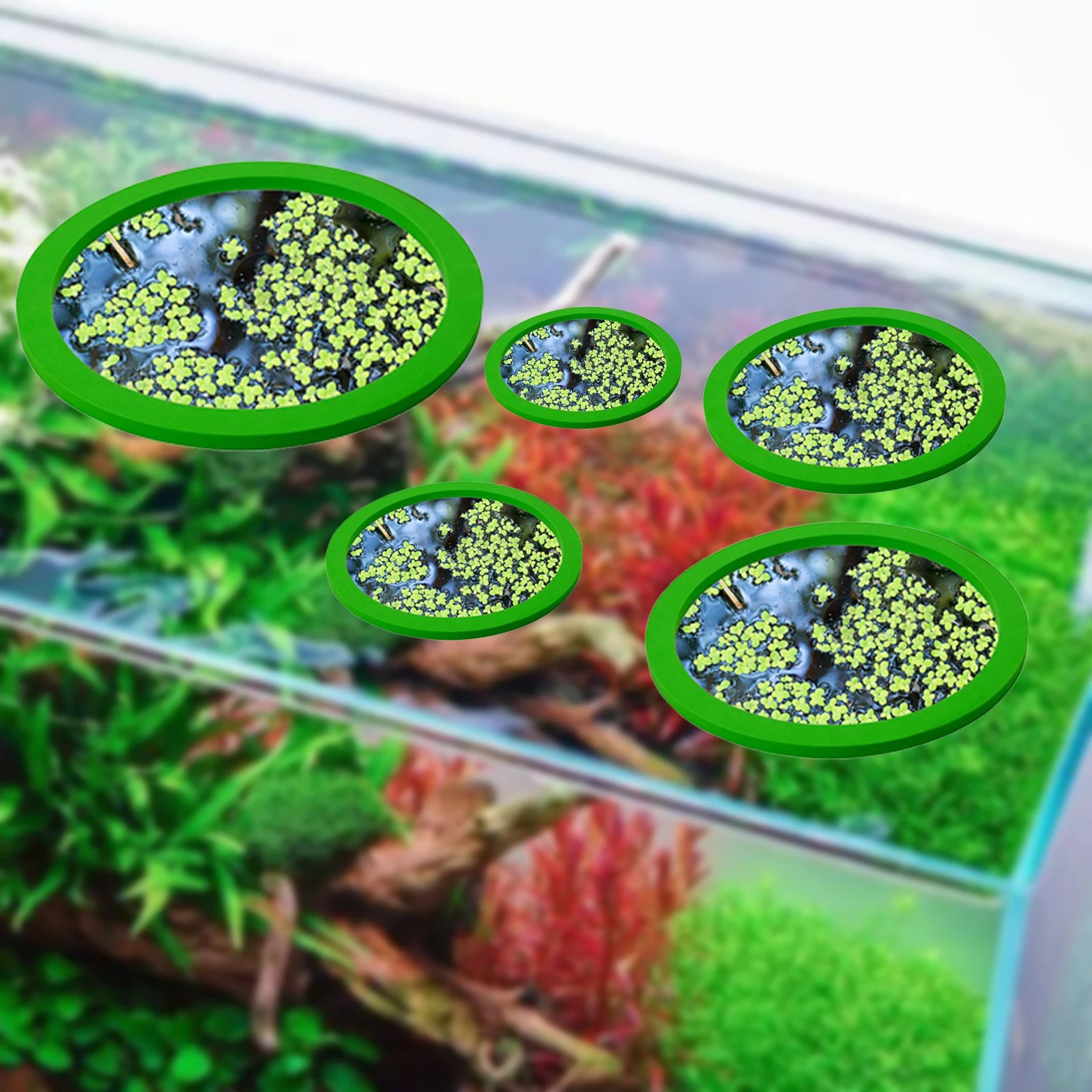 5 шт., кольцо для кормления ры – обзор и цена Aquarium Planting