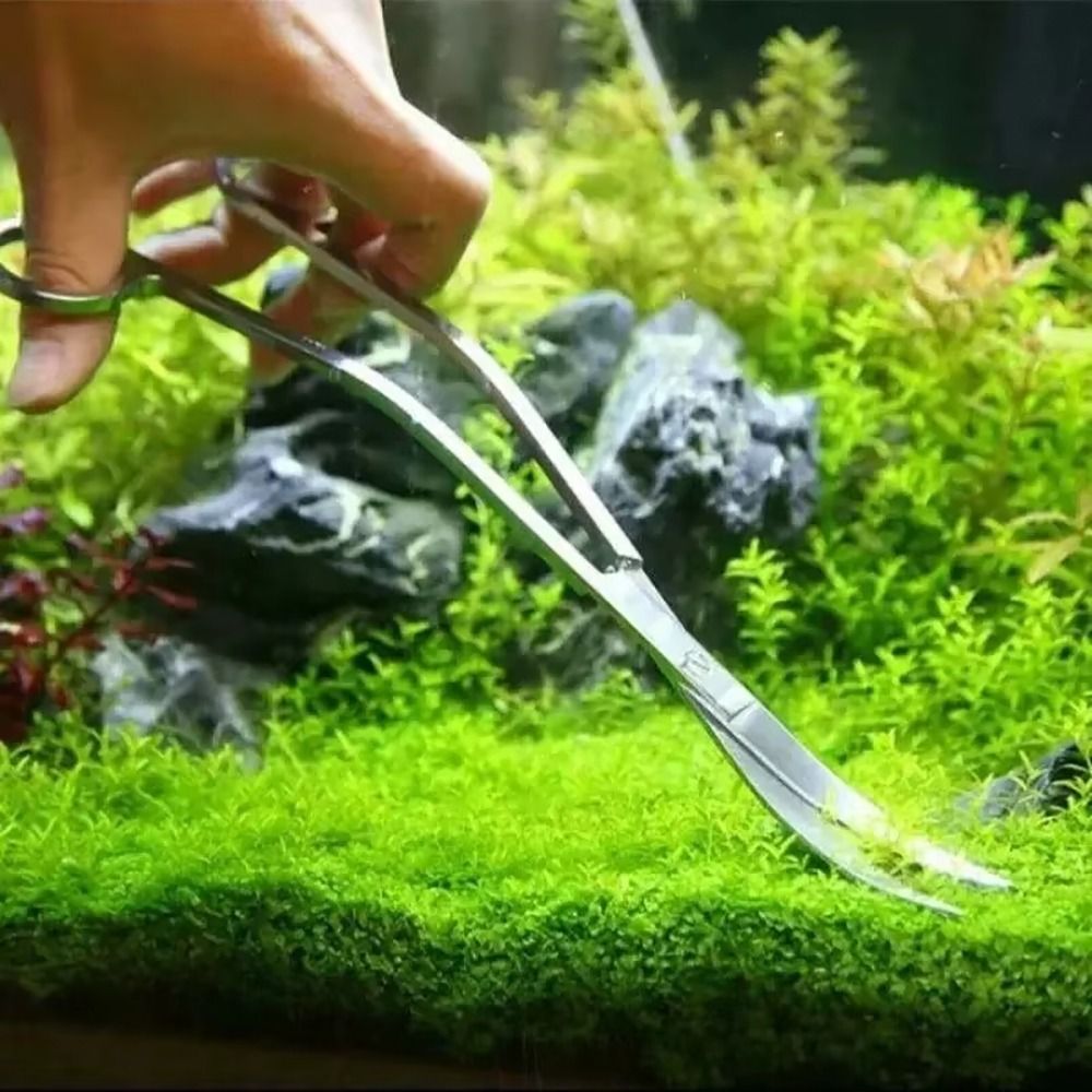 1 шт. Ножницы для аквариума из – обзор и цена Aquarium Plant Grass