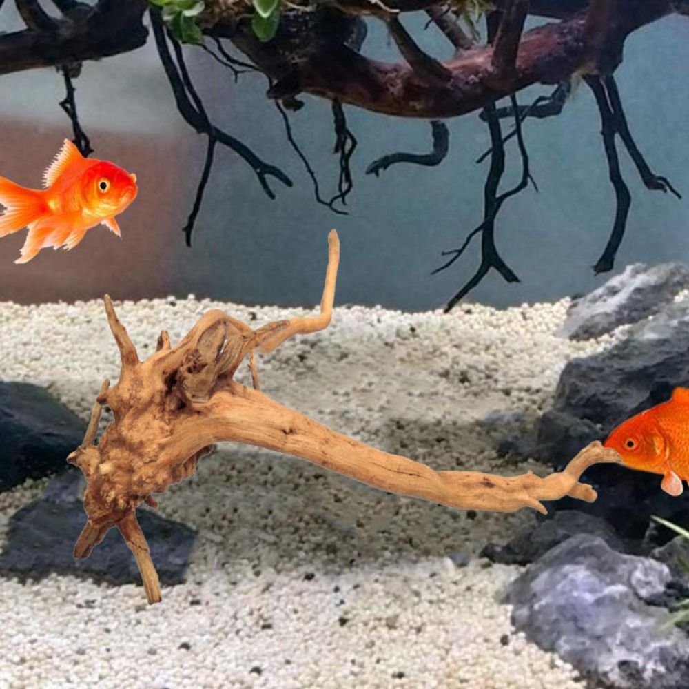 Декоративный пней для аквариум – обзор и цена Aquarium Planted Wood