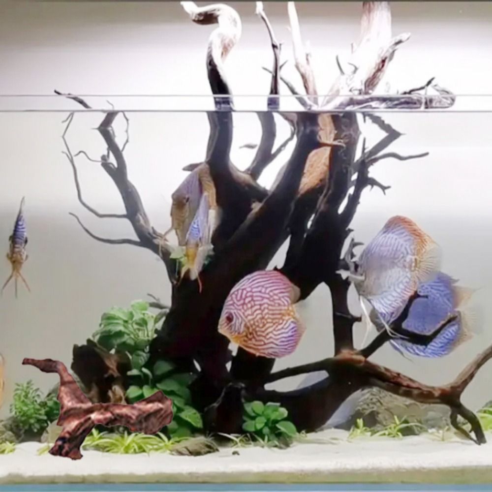 Креативные коряги из кораллово – обзор и цена Aquarium Planted Wood