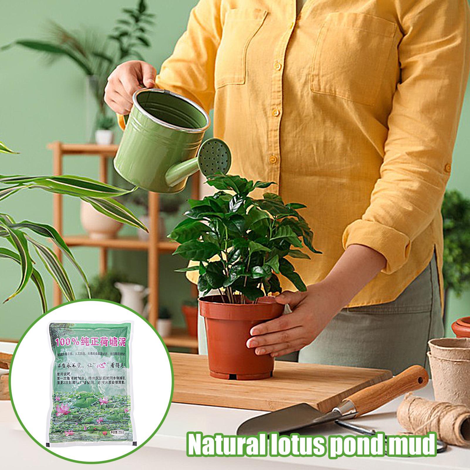 200 г/упаковка. Натуральный гр – обзор и цена Aquarium Plant Seeds