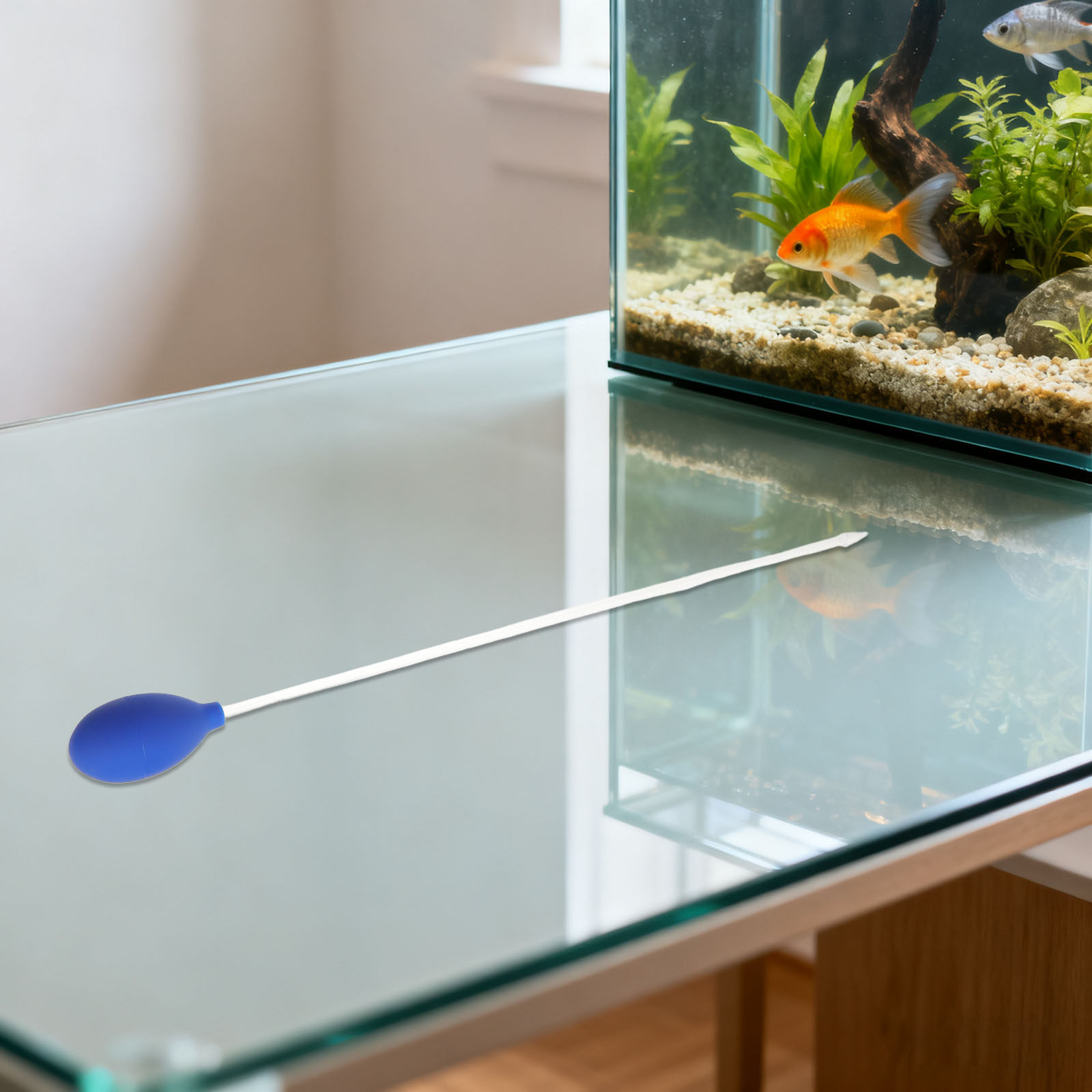 Кормушка для коралловых рыбок, – обзор и цена Planted Aquarium Youtube