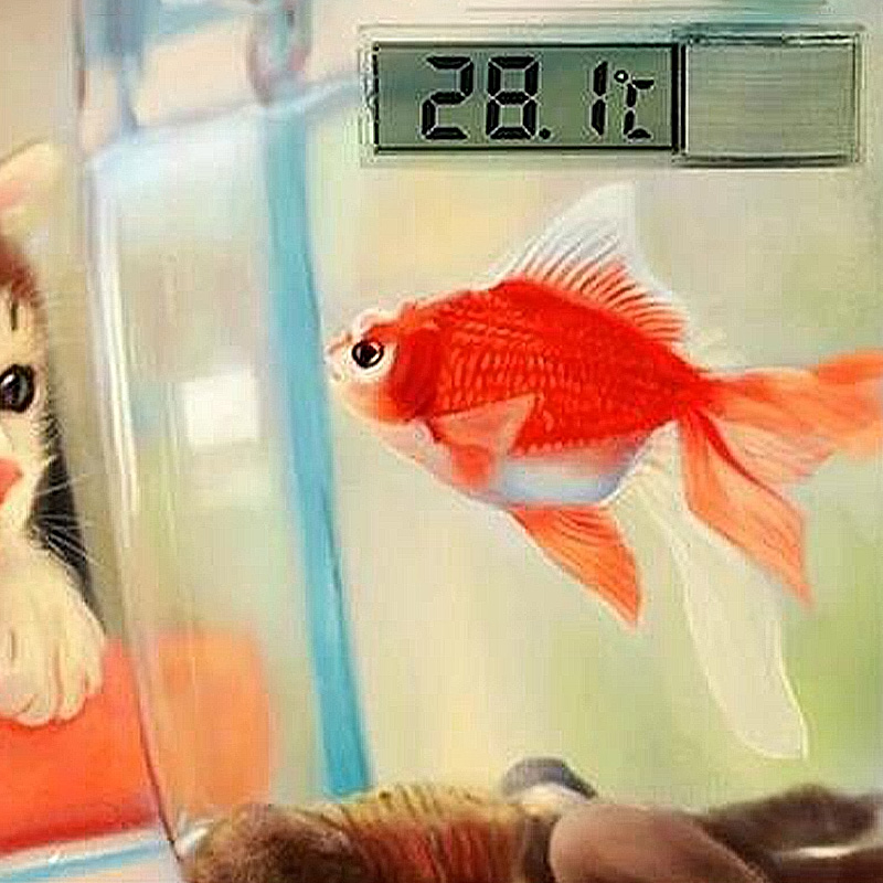 Водонепроницаемый аквариумный  – обзор и цена Aquarium Planted Seeds