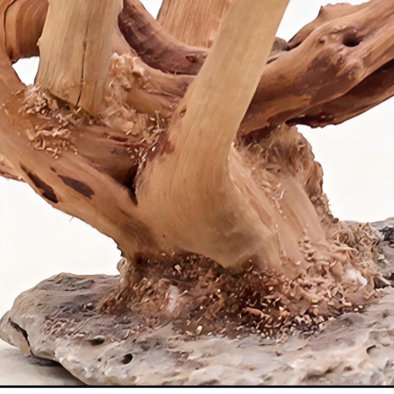 1 шт. аквариум, ландшафтные де – обзор и цена Aquarium Planted Wood